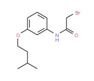 2-Bromo-N-[3-(isopentyloxy)phenyl]acetamide - chemical structure image