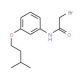2-Bromo-N-[3-(isopentyloxy)phenyl]acetamide - chemical structure image