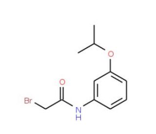 2-Bromo-N-(3-isopropoxyphenyl)acetamide - chemical structure image