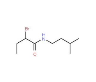 2-Bromo-N-(3-methylbutyl)butanamide - chemical structure image