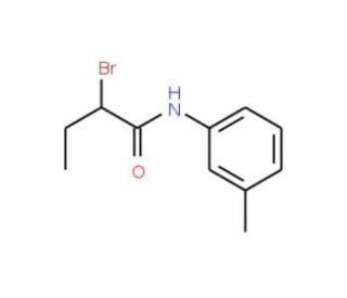 2-Bromo-N-(3-methylphenyl)butanamide - chemical structure image