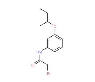 2-Bromo-N-[3-(sec-butoxy)phenyl]acetamide - chemical structure image