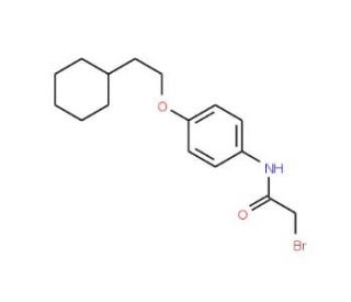 2-Bromo-N-[4-(2-cyclohexylethoxy)phenyl]acetamide - chemical structure image