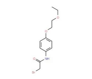 2-Bromo-N-[4-(2-ethoxyethoxy)phenyl]acetamide - chemical structure image