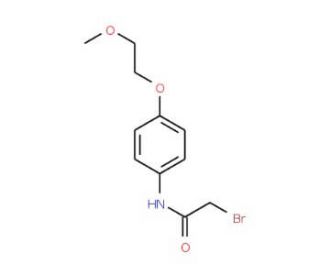 2-Bromo-N-[4-(2-methoxyethoxy)phenyl]acetamide - chemical structure image