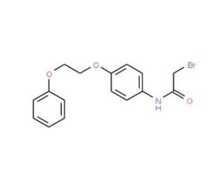 2-Bromo-N-[4-(2-phenoxyethoxy)phenyl]acetamide - chemical structure image