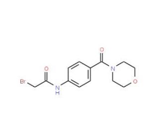 2-Bromo-N-[4-(4-morpholinylcarbonyl)phenyl]-acetamide - chemical structure image