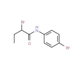 2-Bromo-N-(4-bromophenyl)butanamide - chemical structure image