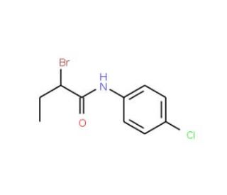 2-Bromo-N-(4-chlorophenyl)butanamide - chemical structure image