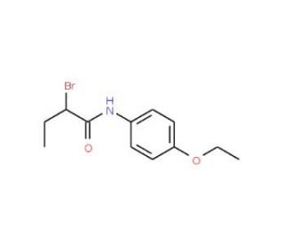 2-Bromo-N-(4-ethoxyphenyl)butanamide - chemical structure image