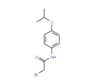 2-Bromo-N-(4-isopropoxyphenyl)acetamide - chemical structure image