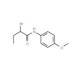 2-Bromo-N-(4-methoxyphenyl)butanamide - chemical structure image