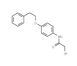 2-Bromo-N-[4-(phenethyloxy)phenyl]acetamide - chemical structure image