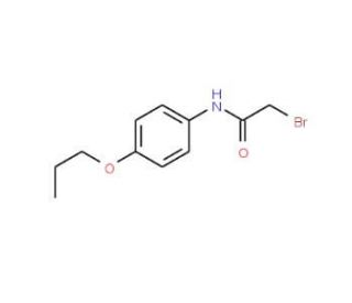 2-Bromo-N-(4-propoxyphenyl)acetamide - chemical structure image