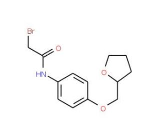 2-Bromo-N-[4-(tetrahydro-2-furanylmethoxy)phenyl]-acetamide - chemical structure image
