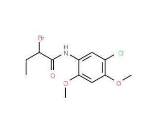 2-Bromo-N-(5-chloro-2,4-dimethoxyphenyl)butanamide - chemical structure image