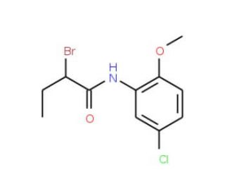 2-Bromo-N-(5-chloro-2-methoxyphenyl)butanamide - chemical structure image