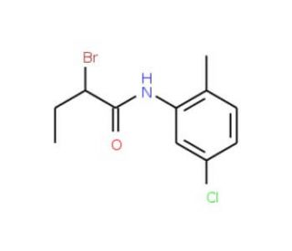 2-Bromo-N-(5-chloro-2-methylphenyl)butanamide - chemical structure image