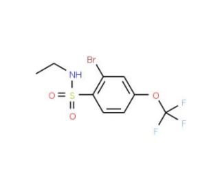 2-Bromo-N-ethyl-4-(trifluoromethoxy)benzenesulphonamide (CAS 957062-74-7) - chemical structure image