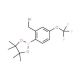 2-(Bromomethyl)-4-(trifluoromethoxy)benzeneboronic acid, pinacol ester (CAS 957066-13-6) - chemical structure image