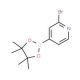 2-Bromopyridine-4-boronic acid pinacol ester (CAS 458532-82-6) - chemical structure image