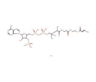 2-Butenoyl coenzyme A lithium salt (CAS 102680-35-3) - chemical structure image
