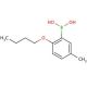 2-Butoxy-5-methylphenylboronic acid (CAS 480438-72-0) - chemical structure image