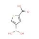2-Carboxythiophene-4-boronic acid (CAS 913835-91-3) - chemical structure image
