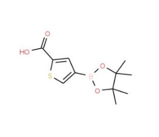 2-Carboxythiophene-4-boronic acid pinacol ester (CAS 1010836-19-7) - chemical structure image
