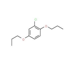 2-Chloro-1,4-di-n-propoxybenzene (CAS 916791-98-5) - chemical structure image
