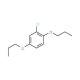 2-Chloro-1,4-di-n-propoxybenzene (CAS 916791-98-5) - chemical structure image