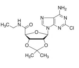 2-Chloro-2&prime;,3&prime;-O-isopropylideneadenosine-5&prime;-N-ethylcarboxamide (CAS 120225-75-4) - chemical structure image