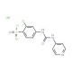 2-Chloro-4-(3-pyridin-4-yl-ureido)-benzenesulfonyl chloride hydrochloride - chemical structure image