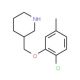 2-Chloro-5-methylphenyl 3-piperidinylmethyl ether - chemical structure image