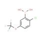 2-Chloro-5-(trifluoromethoxy)phenylboronic acid (CAS 1022922-16-2) - chemical structure image