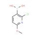 2-Chloro-6-methoxypyridine-3-boronic acid (CAS 1072946-25-8) - chemical structure image