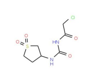 2-chloro-N-{[(1,1-dioxidotetrahydrothien-3-yl)amino]carbonyl}acetamide - chemical structure image