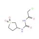 2-chloro-N-{[(1,1-dioxidotetrahydrothien-3-yl)amino]carbonyl}acetamide - chemical structure image