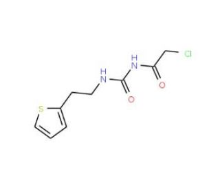 2-chloro-N-{[(2-thien-2-ylethyl)amino]carbonyl}acetamide - chemical structure image