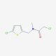 2-chloro-N-[(5-chlorothien-2-yl)methyl]-N-methylacetamide - chemical structure image