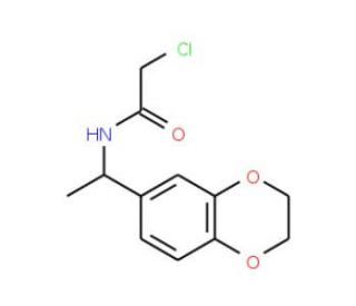 2-chloro-N-[1-(2,3-dihydro-1,4-benzodioxin-6-yl)ethyl]acetamide - chemical structure image