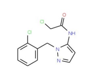2-chloro-N-[1-(2-chlorobenzyl)-1H-pyrazol-5-yl]acetamide - chemical structure image