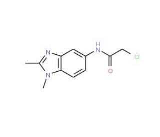 2-Chloro-N-(1,2-dimethyl-1H-benzoimidazol-5-yl)-acetamide - chemical structure image