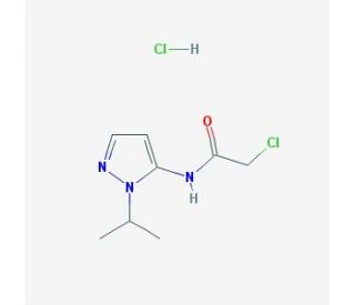 2-chloro-N-(1-isopropyl-1H-pyrazol-5-yl)acetamide hydrochloride (CAS 1171453-82-9) - chemical structure image