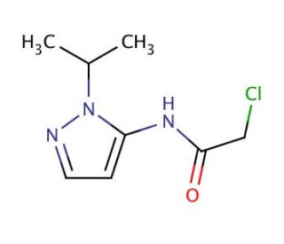 2-chloro-N-(1-isopropyl-1H-pyrazol-5-yl)acetamide - chemical structure image
