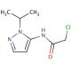 2-chloro-N-(1-isopropyl-1H-pyrazol-5-yl)acetamide - chemical structure image