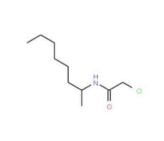 2-chloro-N-(1-methylheptyl)acetamide (CAS 23602-04-2) - chemical structure image