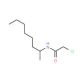 2-chloro-N-(1-methylheptyl)acetamide (CAS 23602-04-2) - chemical structure image