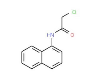 2-chloro-N-1-naphthylacetamide (CAS 832-89-3) - chemical structure image