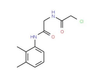 2-chloro-N-{2-[(2,3-dimethylphenyl)amino]-2-oxoethyl}acetamide - chemical structure image